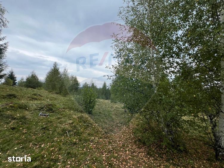 Teren extravilan parcelabil Cala?ele Padure, zona Dealu Negru - 16