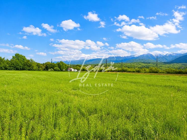 Teren agricol extravilan de 2800 mp, în Tălmaciu