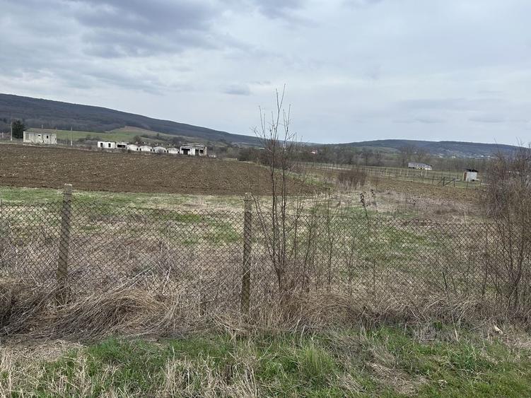 Teren de 720 mp, în Plavia