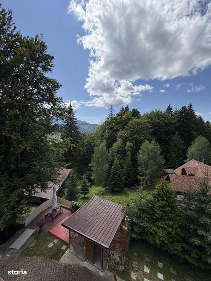 Pensiune Trei Brazi Predeal - 20