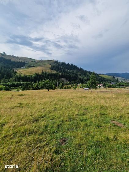 Teren de 1000 mp, în Central