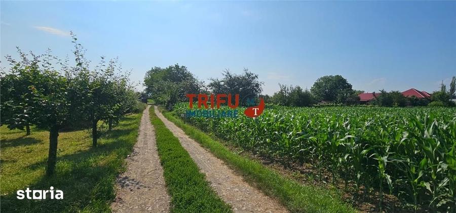 Teren de 928 mp, în Șard