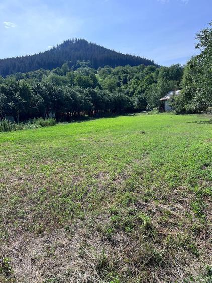 Teren de 3026 mp, în Gârcina
