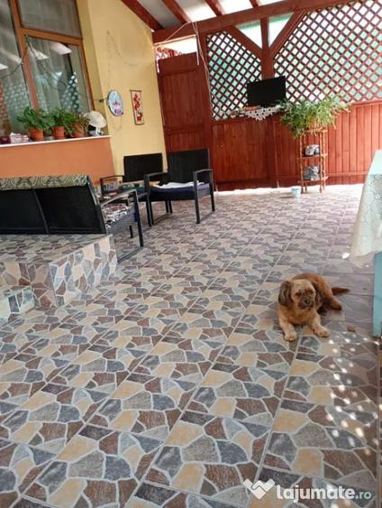 Casă cu 4 camere cu Teren 595 Mp în Central