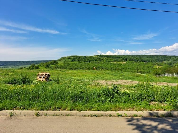 Teren agricol extravilan de 9300 mp, în Central