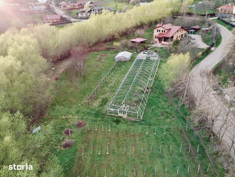 Vand vila, firma si teren 8800mp in Gura Vaii, Neamt, la 12 km de P Nt - 9