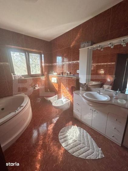 Casă cu 6 camere cu Teren 3982 Mp în Remetea Mare