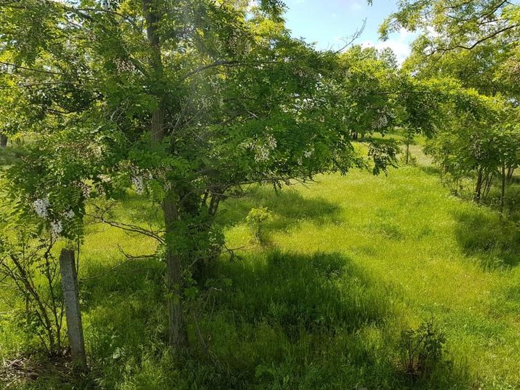 Teren intravilan de 2250 mp, în Central