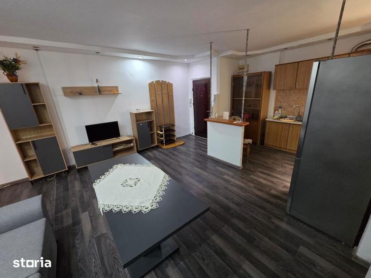 Apartament 2 camere str Isaccei (Restaurant -Psso Doble ) - 8