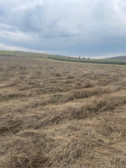 Teren de 2900 mp, în Gilău