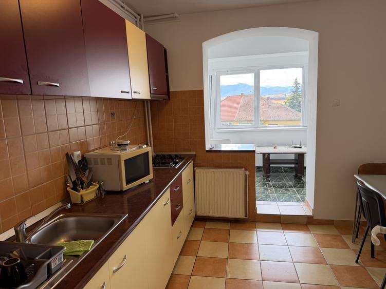 ap 2 camere spatios  bd mihai viteazu v4 la fantana arteziana - 3