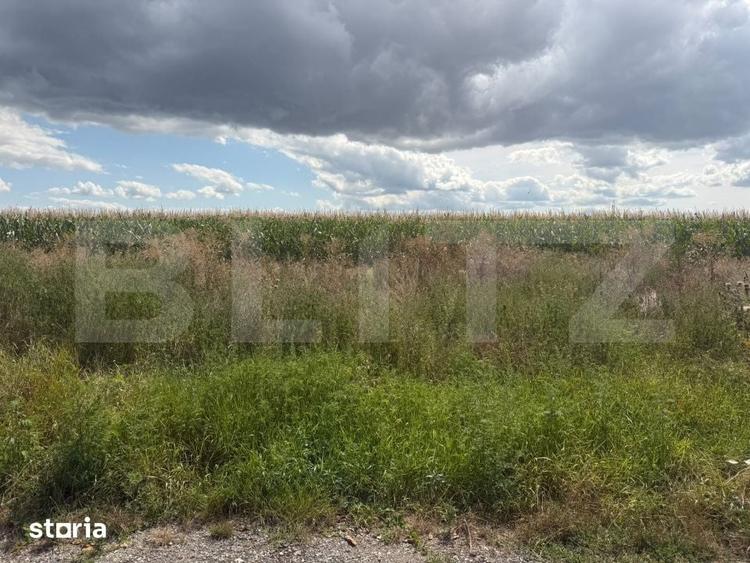 Teren de vanzare, 1.800 mp, zona Turda Cartier Primaverii - 2