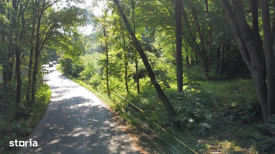 Teren de 5000 mp, în Bucium