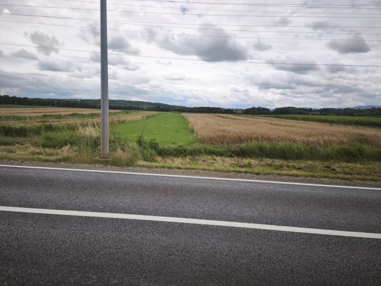 Teren de 6200 mp, în Gălănești