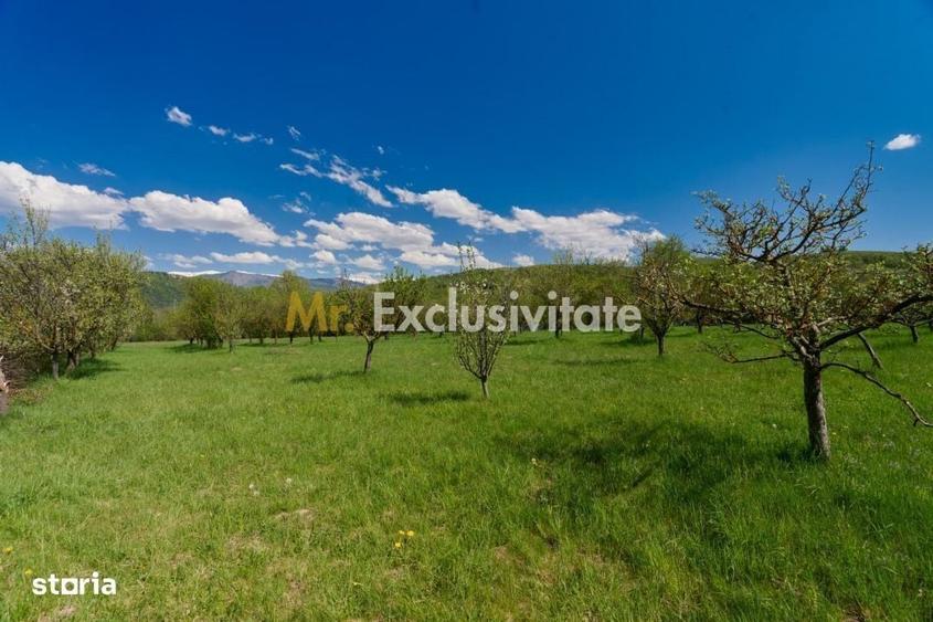 Casă cu 4 camere în Valea Mare
