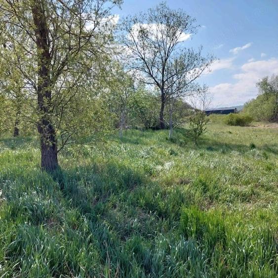 Teren de 2000 mp, în Central