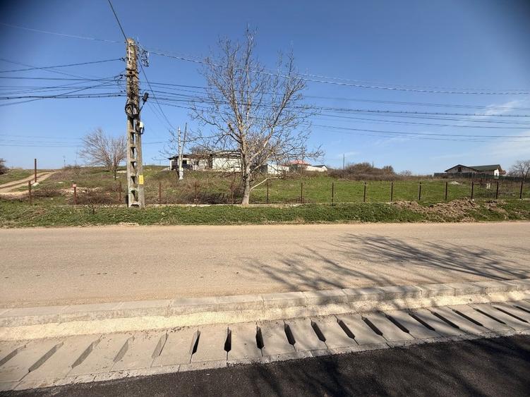 Teren de 3270 mp, în Roata Mică
