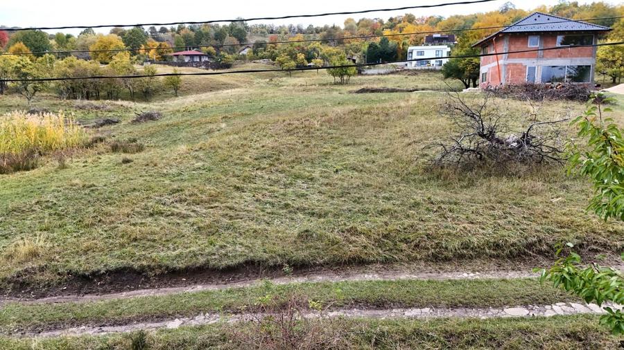Teren intravilan 1250mp  cu PUZ in Cisnădioara - 5
