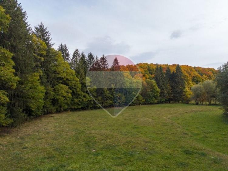 Teren agricol extravilan de 9540 mp, în Teliu