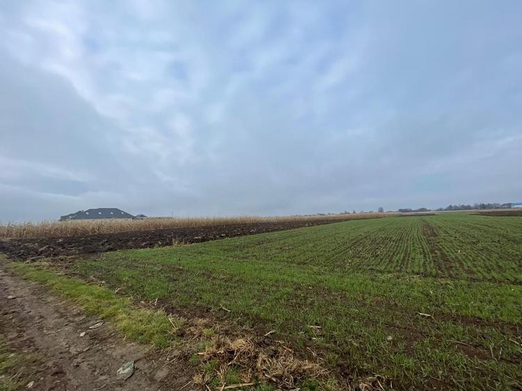 Teren agricol extravilan de 1300 mp, în Marginea