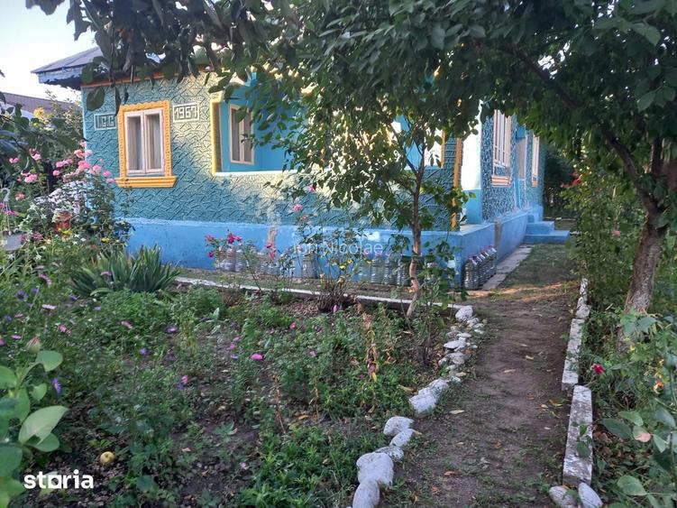 Casă cu 4 camere cu Teren 3590 Mp în Colceag