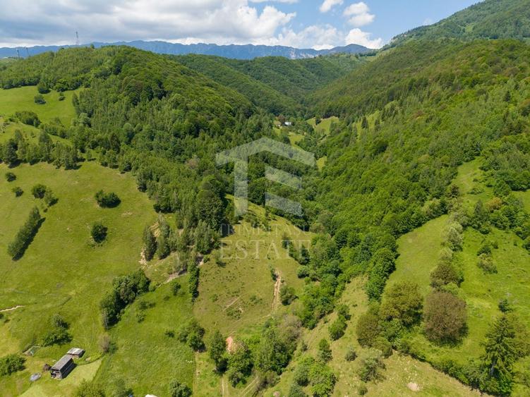 Teren Construcții intravilan de 11381 mp, în Moieciu