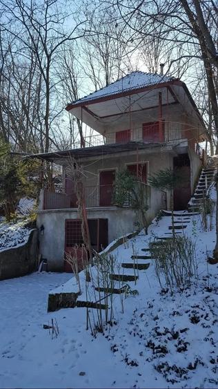 Teren de 7000 mp, în Spinuș