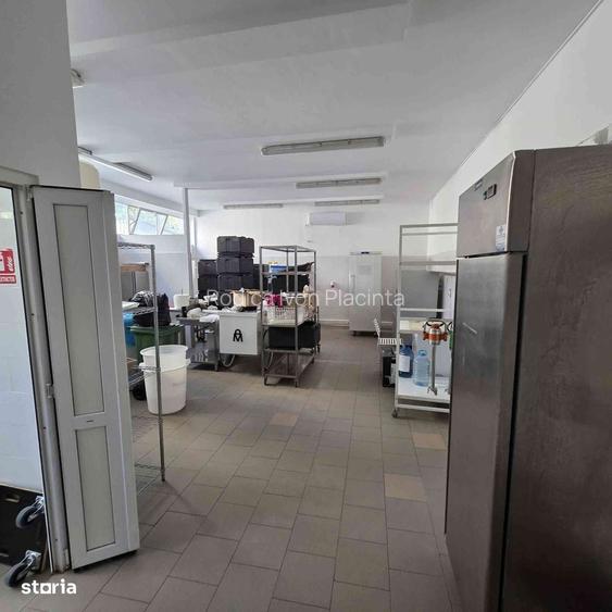 Spatiu comercial Horeca