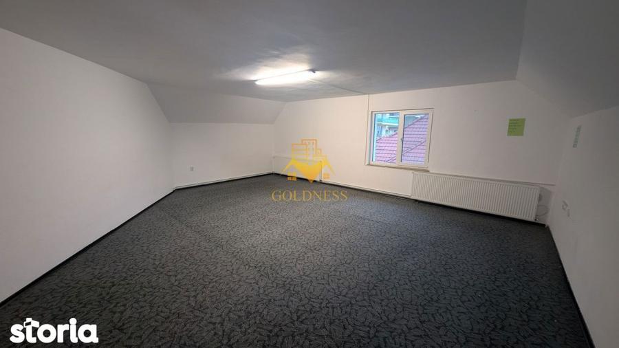 Casă cu 9 camere cu Teren 2000 Mp în Andrei Mureșanu