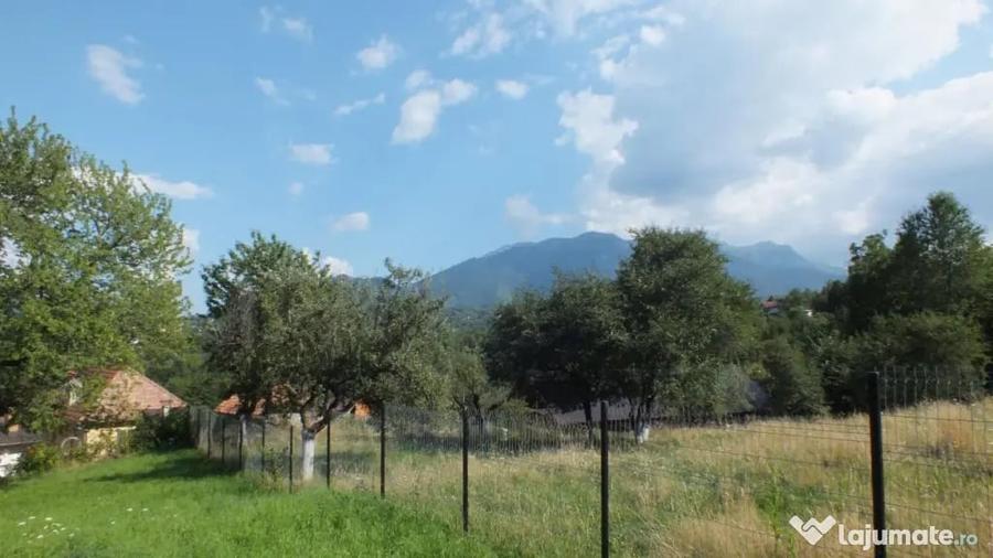 Teren în Bran