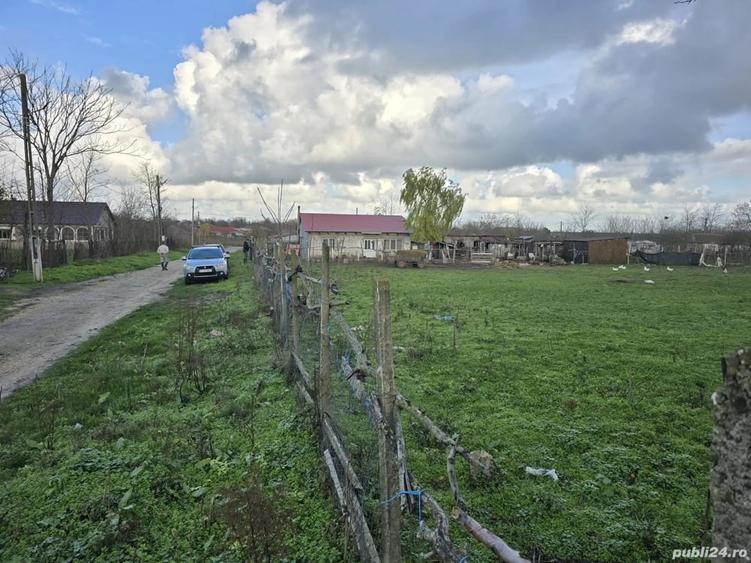 Teren de 2500 mp, în Bărăganu