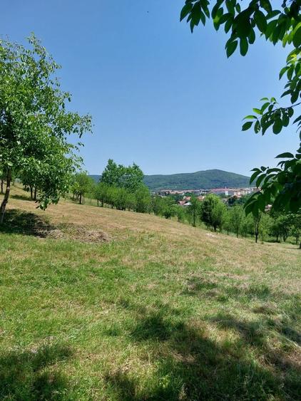 Teren de 4465 mp, în Nord