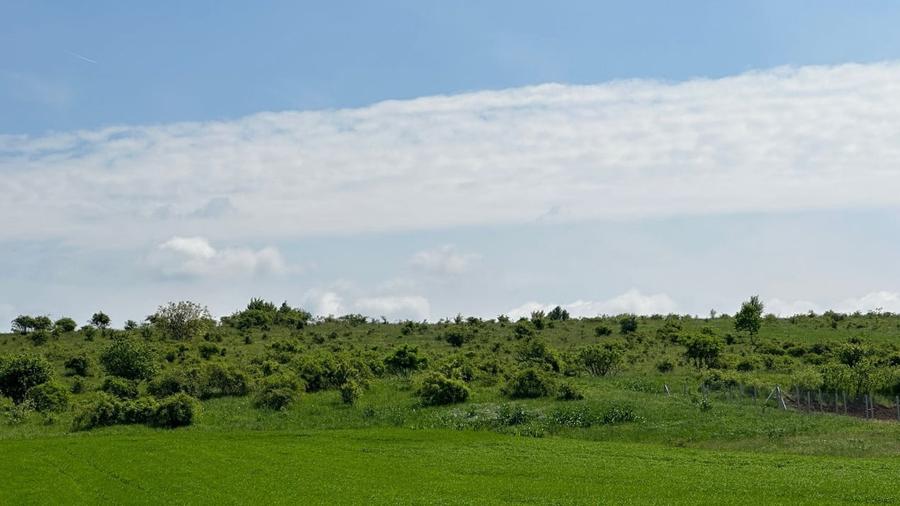 Teren agricol extravilan de 4820 mp, în Episcopia Bihorului