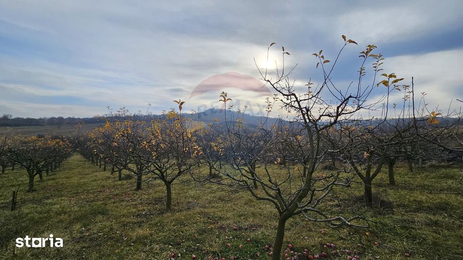 Teren de 10791 mp, în Fălticeni