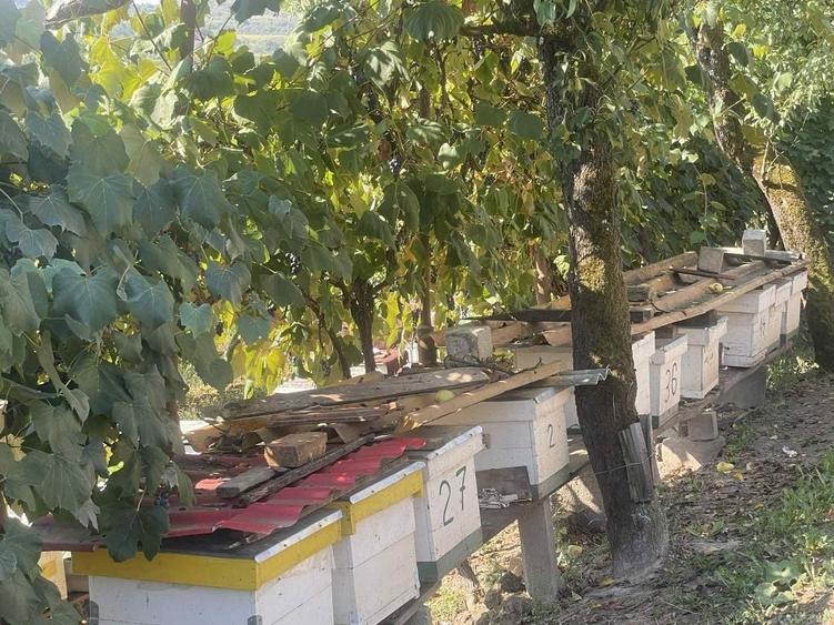 Casă cu 3 camere în Săliște