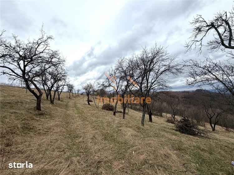 Teren de 34000 mp, în Borod