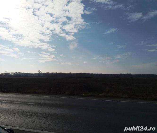 Lot 6,3 ha acces direct DN6,Remetea Mare - PUZ in lucru-linga viitorul sens giratoriu - 4