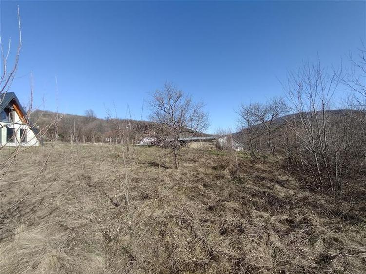Teren Construcții intravilan de 3800 mp, în Vest