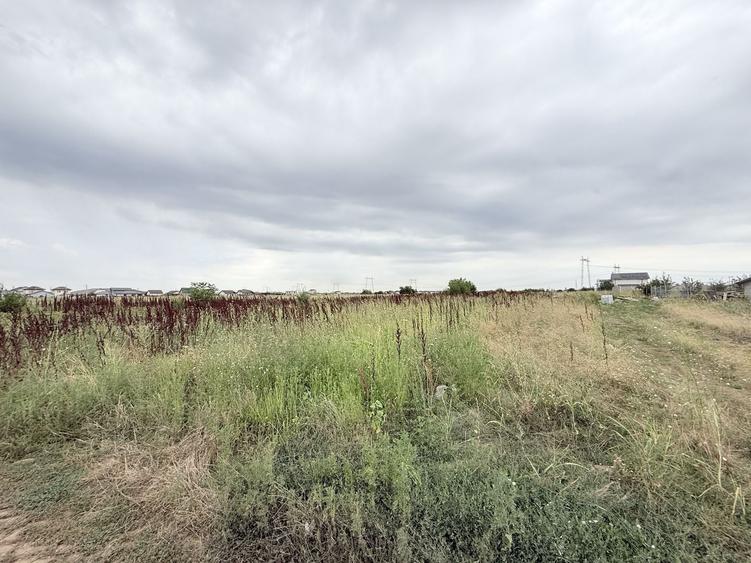 Teren Construcții intravilan de 5000 mp, în Berceni
