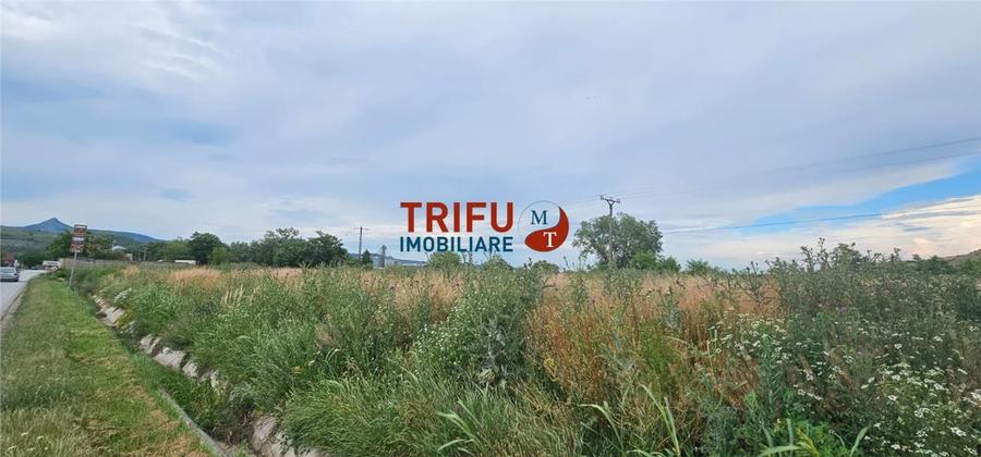 Teren Construcții intravilan de 9087 mp, în Ighiu