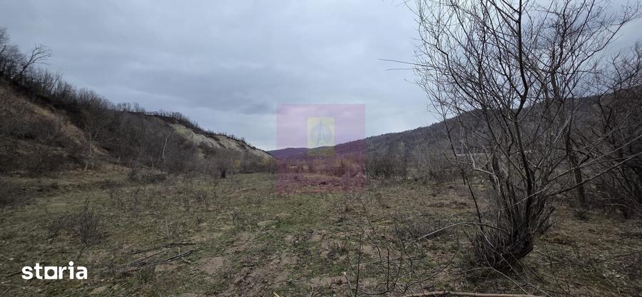 Teren de vanzare in Brebu - Raul Doftana - 8
