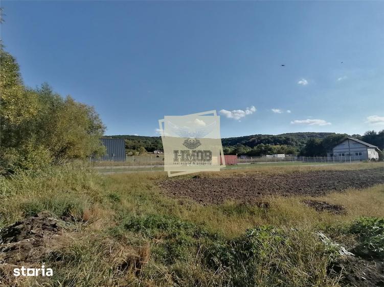 Teren intravilan 3500 mp zona Hamba - 4