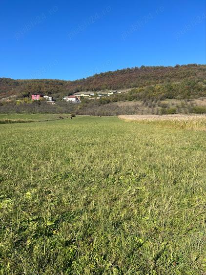 Teren de 7500 mp, în Central