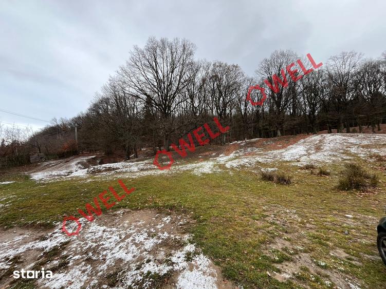 Teren de 1849 mp, în Covasna