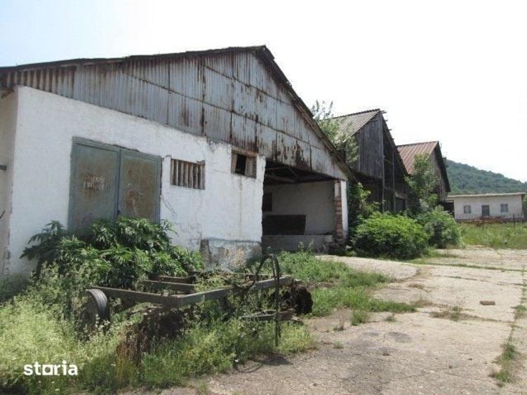 Teren de 12580 mp, în Dalboșeț