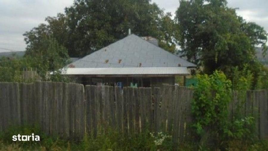 Casă cu 3 camere cu Teren 3487 Mp în Tănăsoaia