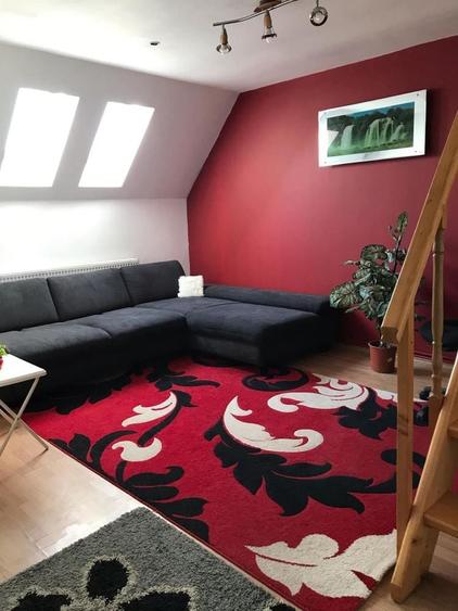 Apartament de inchiriat zona Nufarul 1500 lei - 3
