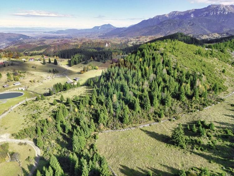 Teren agricol extravilan de 17590 mp, în Fundata
