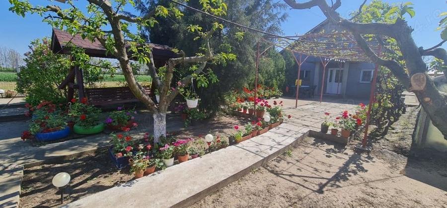 Casă cu 4 camere cu Teren 4300 Mp în Chirnogi