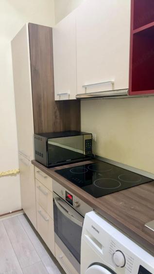 Apartament Pets Unirii Victoriei Libertatii Centru Marasti Bastion Cetate Medicina Take Politehnica - 2